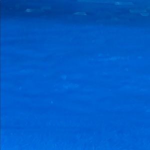 Meet your Posher, Laurel